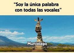 Enlace a La cebra más lista de Madagascar descubre que es un fraude, por @RincnCuriosoo