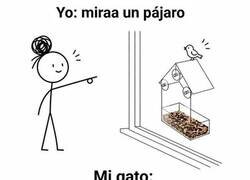 Enlace a ¿Por qué hacen ese ruido?