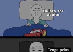 Enlace a La madurez es una estafa bien organizada