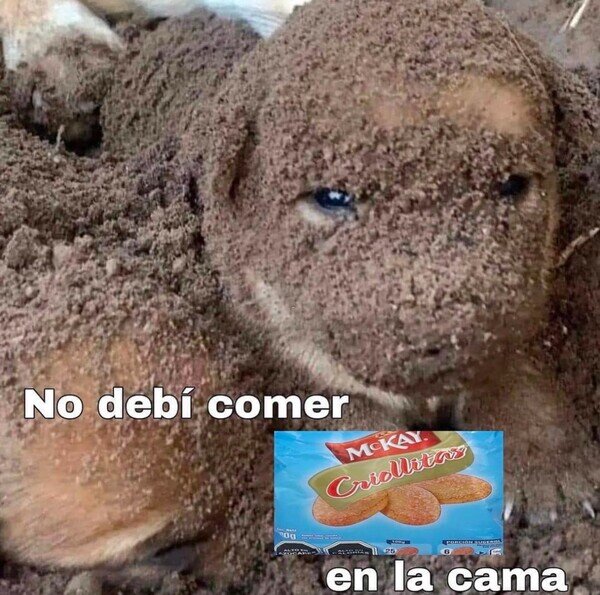 Meme_otros - La peor decisión