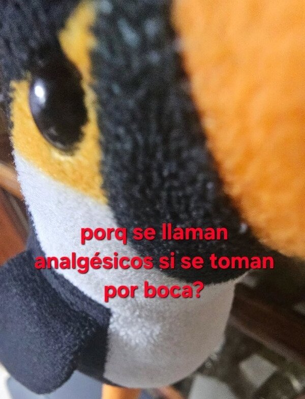 Meme_otros - Buena pregunta