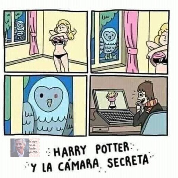 Meme_otros - El secreto que escondía Harry