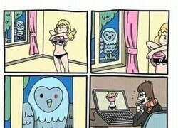 Enlace a El secreto que escondía Harry