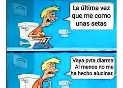 Enlace a Malditas setas