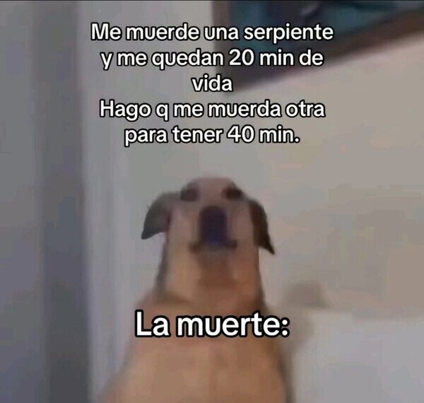 Meme_otros - Hackeando a la muerte