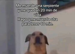 Enlace a Hackeando a la muerte