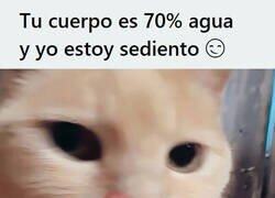 Enlace a Necesito hidratarme