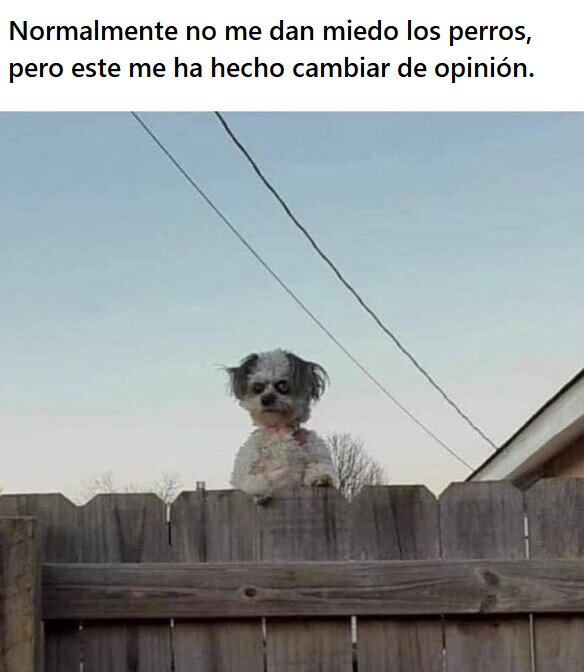 Meme_otros - Este perro sí que asusta