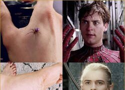 Enlace a El origen de Legolas
