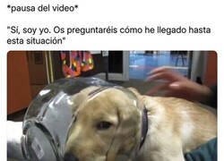 Enlace a Así empieza una buena sitcom