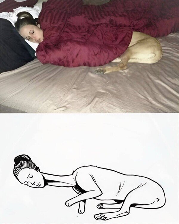 chica,cama,perro