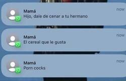 Enlace a No creo que el cereal se llame así