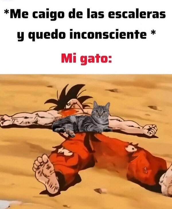 Meme_otros - Siempre tan preocupado por mí