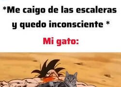 Enlace a Siempre tan preocupado por mí