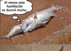 Enlace a Para la posteridad