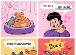 Enlace a Los gatos tienen una imagen que dar
