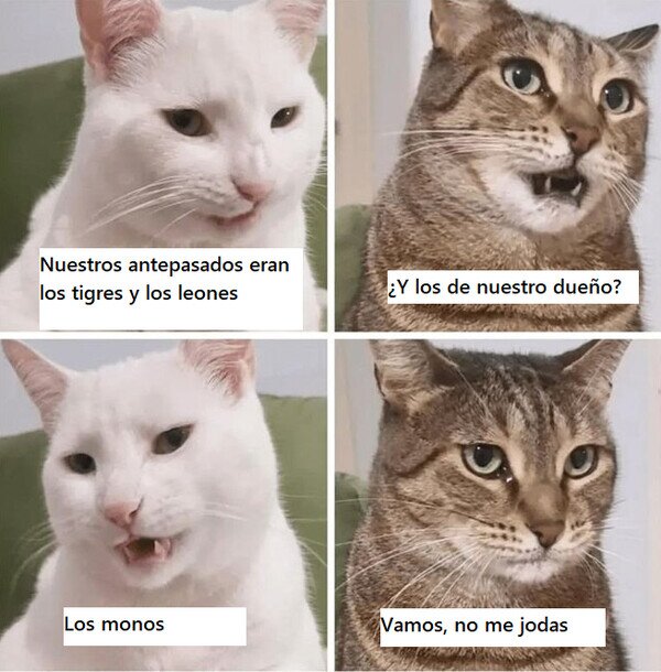 Meme_otros - Si ellos supieran...