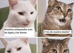 Enlace a Si ellos supieran...