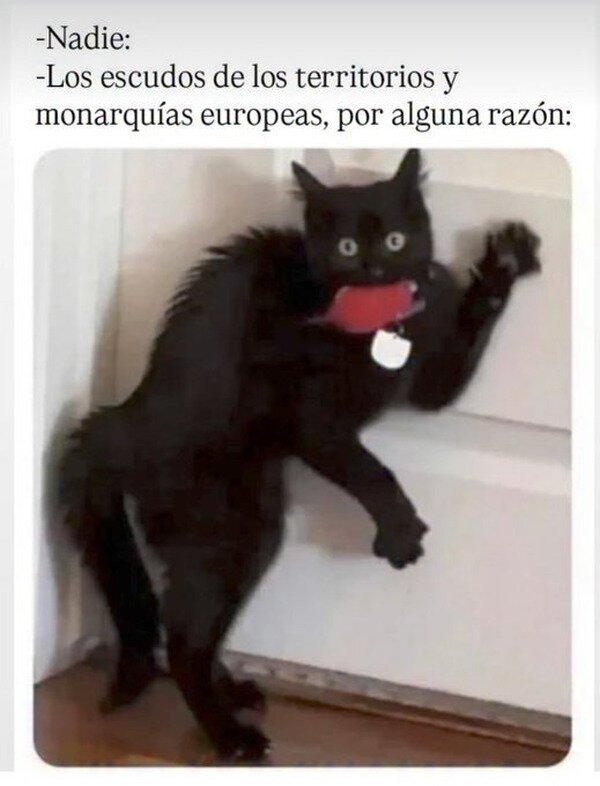 Meme_otros - Todos llevan un bicho
