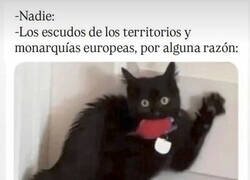Enlace a Todos llevan un bicho