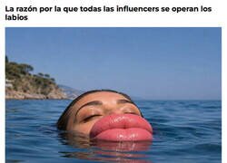 Enlace a Morros salvavidas