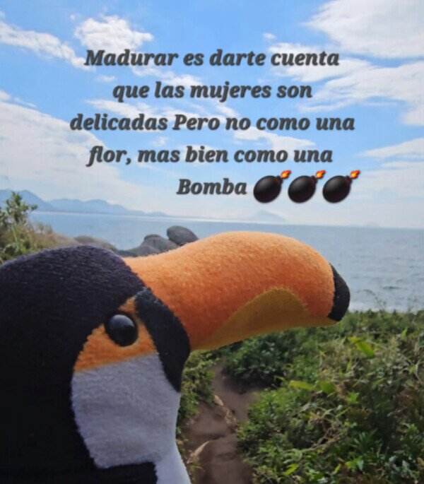 Otros - Lo que la vida me enseñó