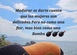 Enlace a Lo que la vida me enseñó