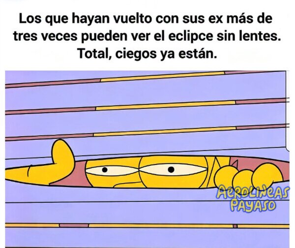 Otros - Pueden hacer contacto directo