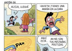 Enlace a Confusión
