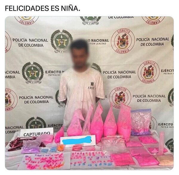 Meme_otros - Solo estaba preparando un gender reveal
