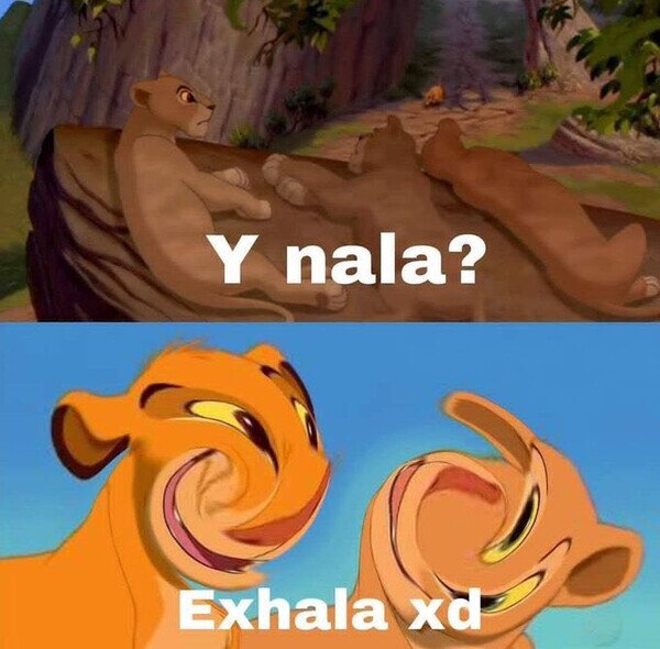 Rey Le&oacute;n,Nala,humor