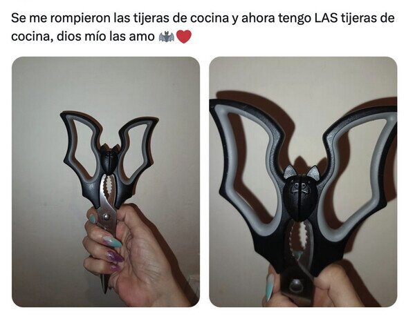 tijeras,cocina,murci&eacute;lago
