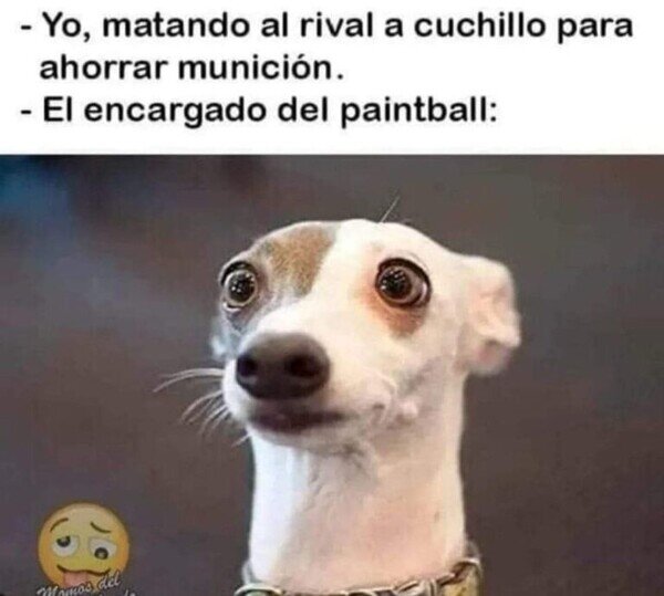Otros - Nunca había visto un guerrillero como yo
