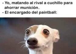 Enlace a Nunca había visto un guerrillero como yo
