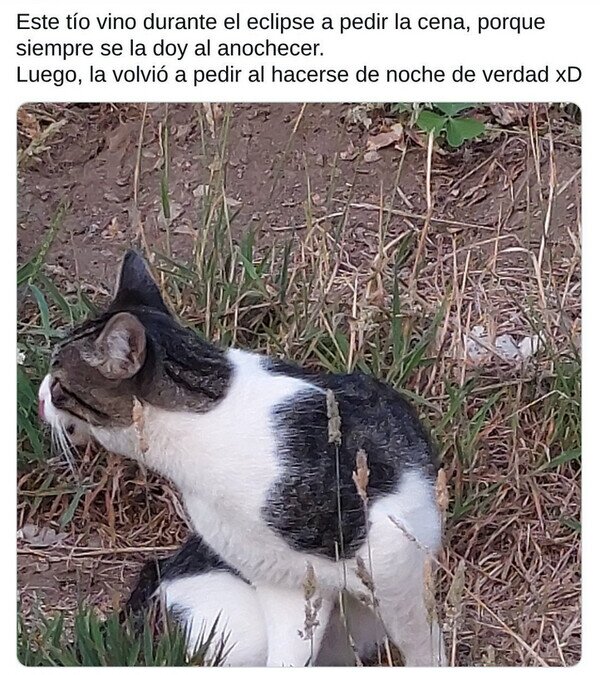 Meme_otros - Aprovechando el bug