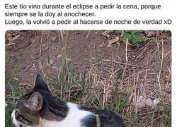 Enlace a Aprovechando el bug