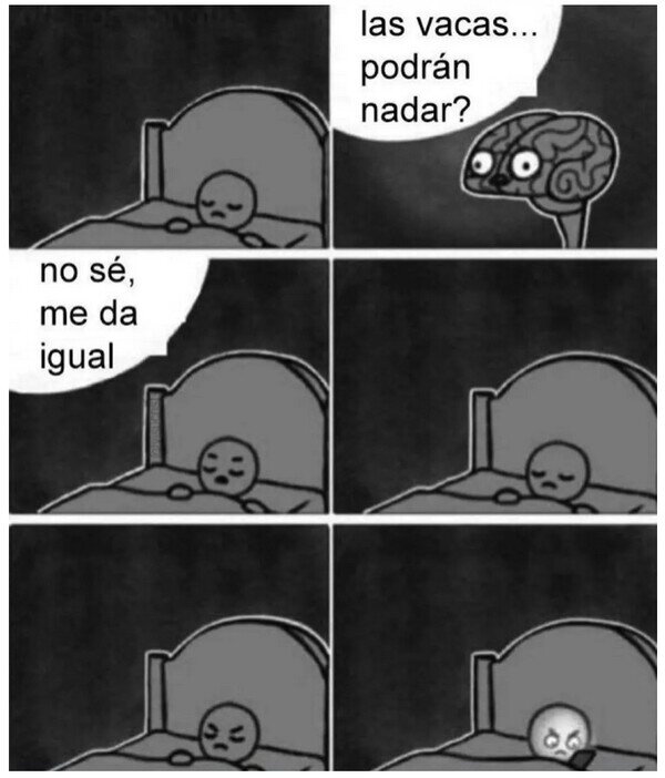 dormir,cerebro,vacas,nadar