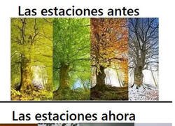 Enlace a Nos estamos cargando el planeta