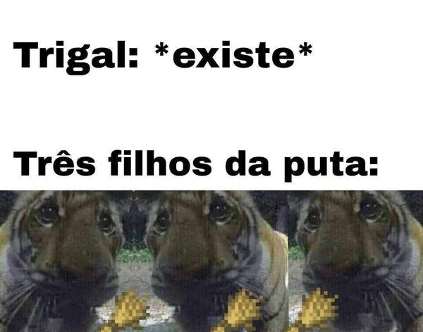 tristes,tigres,trigal,trabalenguas