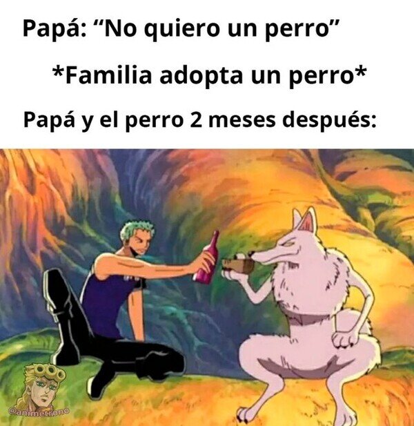 Meme_otros - Al final es el que más se encariña
