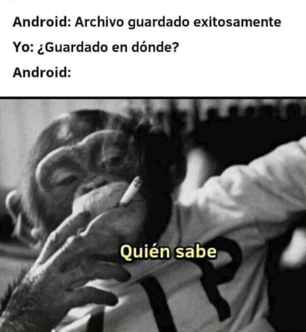 Otros - En algún sitio estará