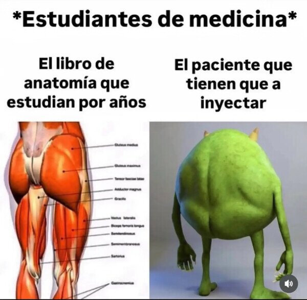 anatom&iacute;a,cuerpo