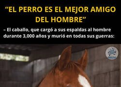 Enlace a ¿Qué pensará el caballo?