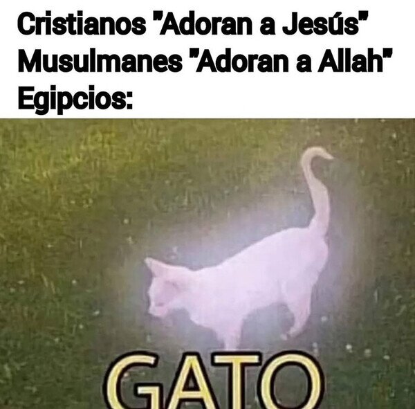 Otros - El animal sagrado