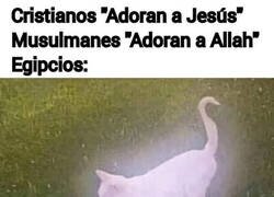 Enlace a El animal sagrado