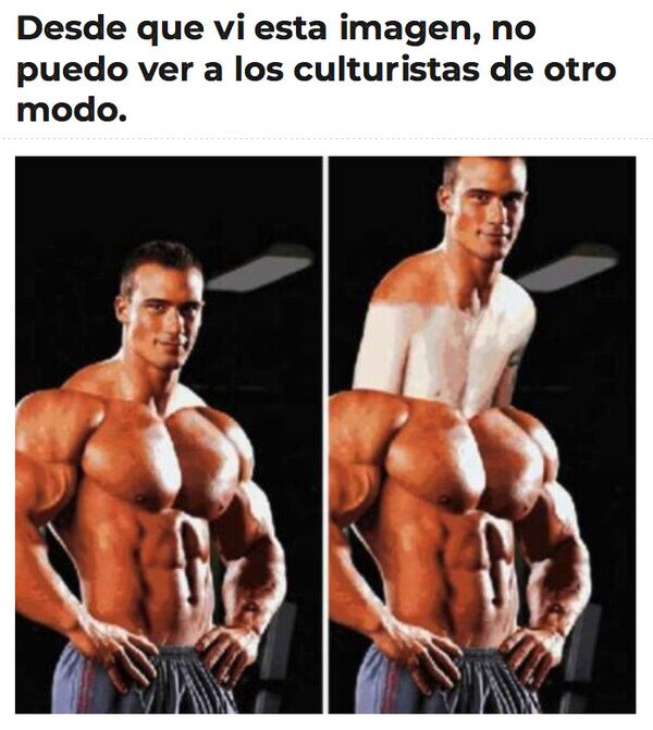 Meme_otros - La verdad sobre los culturistas