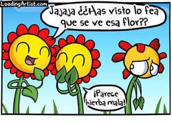 Enlace a La efímera vida de una flor