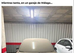 Enlace a ¡Lávalo, guarro!