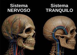 Enlace a Así todo estaría más ordenado