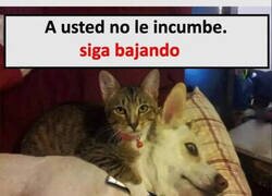 Enlace a Todo tranqui por aquí